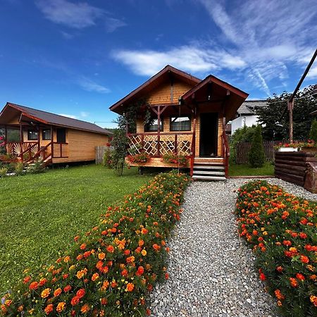 Baltina Parc Transfagarasan Villa Curtea de Argeş Eksteriør billede