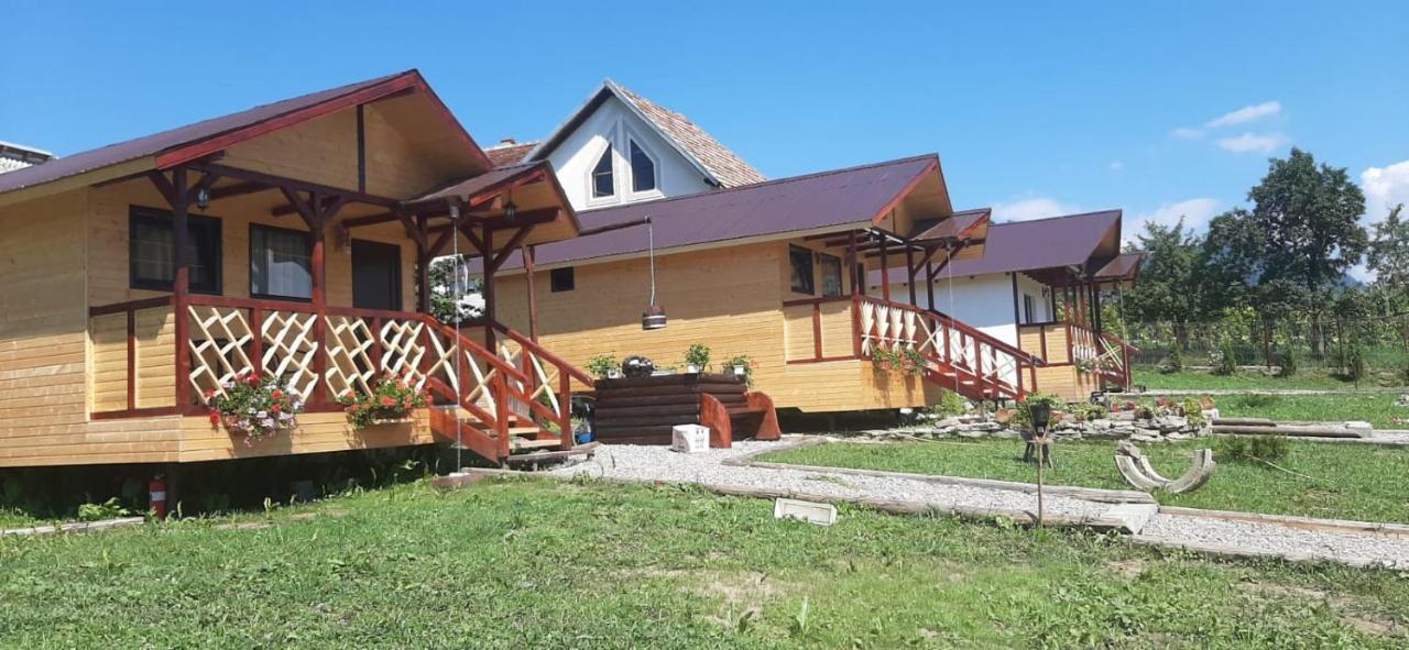 Baltina Parc Transfagarasan Villa Curtea de Argeş Eksteriør billede