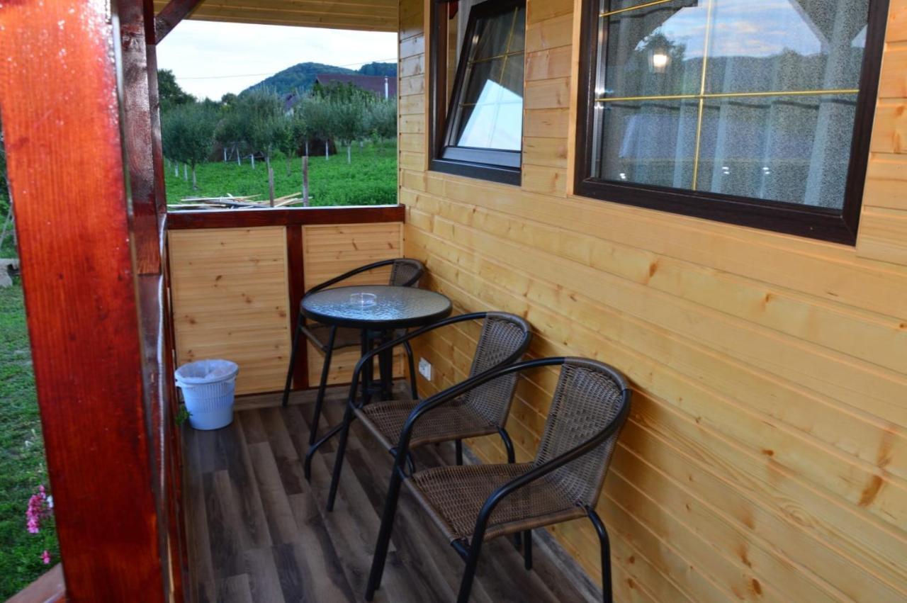 Baltina Parc Transfagarasan Villa Curtea de Argeş Eksteriør billede