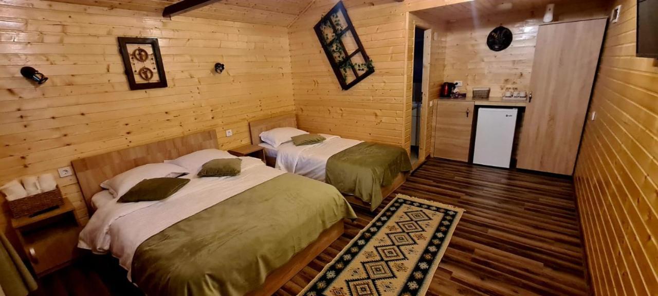 Baltina Parc Transfagarasan Villa Curtea de Argeş Eksteriør billede