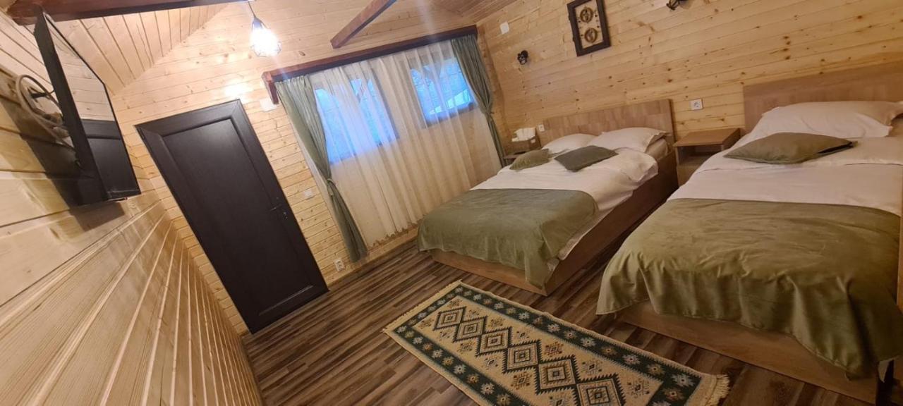 Baltina Parc Transfagarasan Villa Curtea de Argeş Eksteriør billede