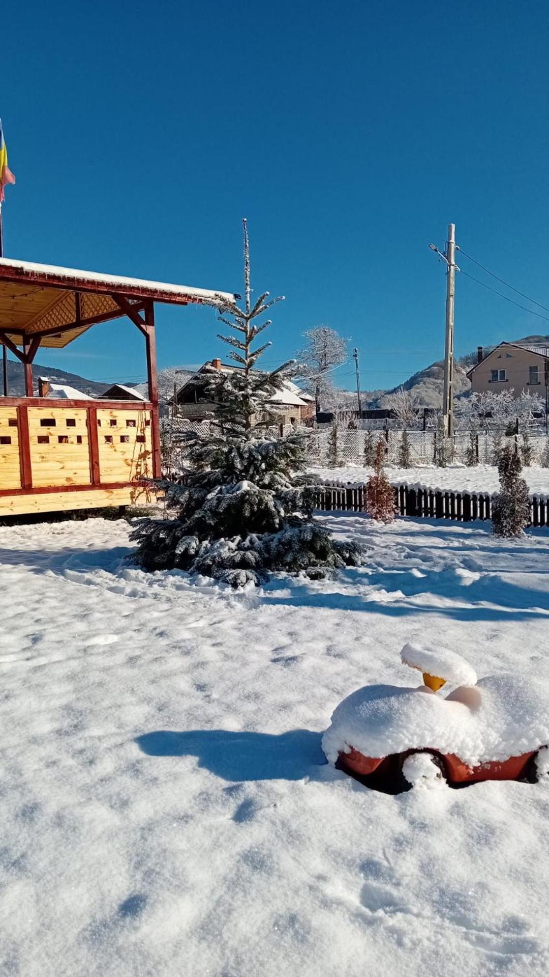 Baltina Parc Transfagarasan Villa Curtea de Argeş Eksteriør billede