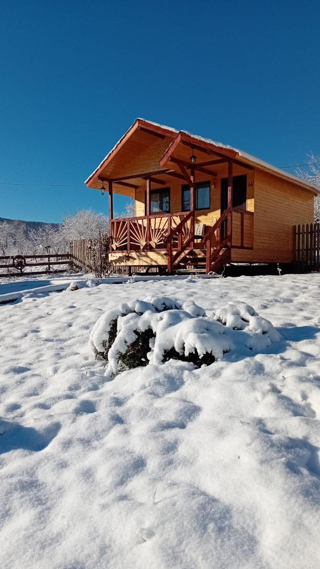 Baltina Parc Transfagarasan Villa Curtea de Argeş Eksteriør billede