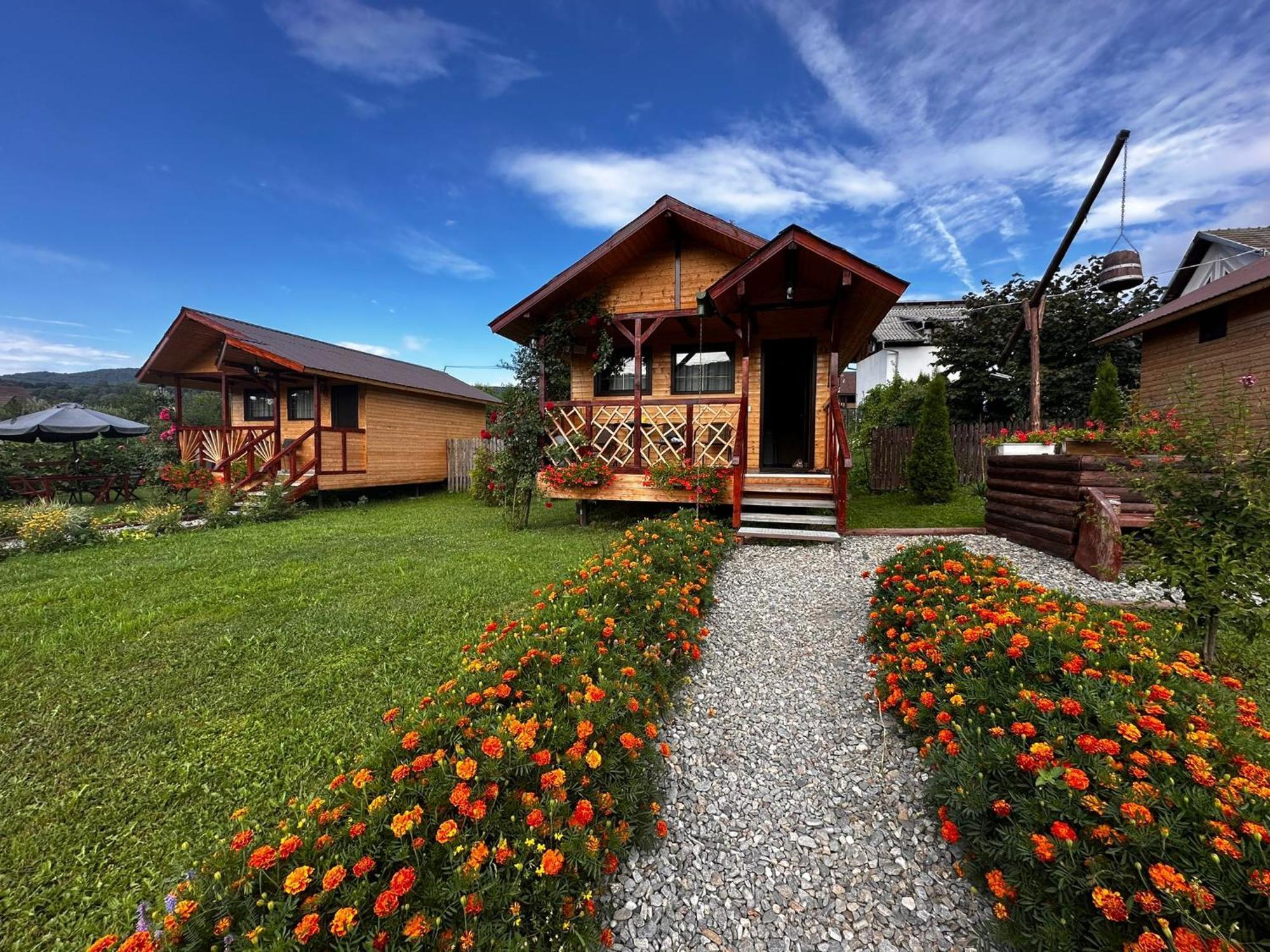 Baltina Parc Transfagarasan Villa Curtea de Argeş Eksteriør billede