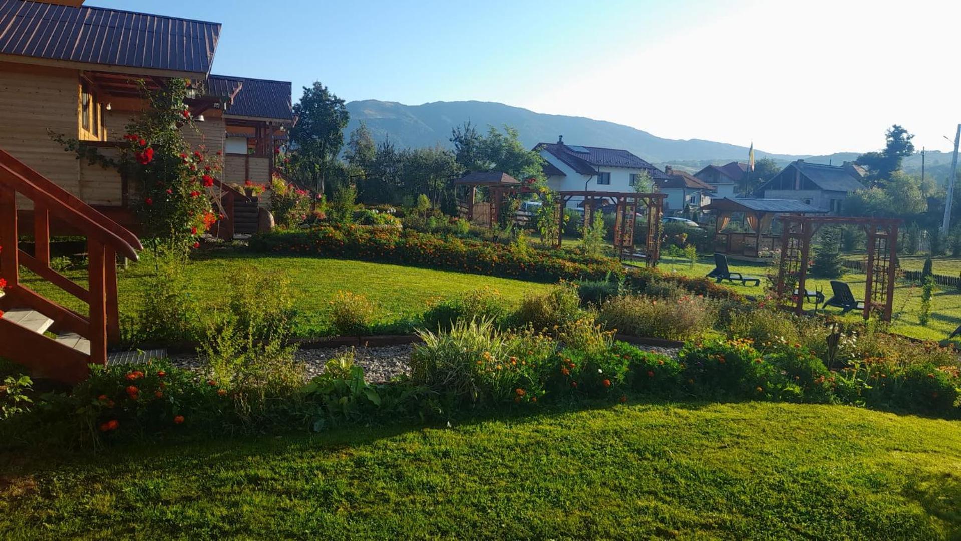 Baltina Parc Transfagarasan Villa Curtea de Argeş Eksteriør billede